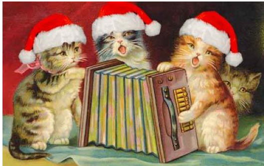 Four Cats and an Accordian Christmas